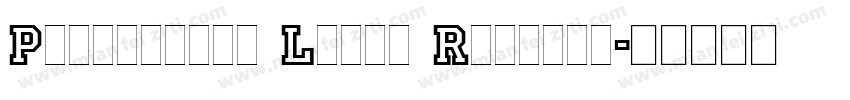 Princetown Light Regular字体转换